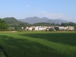 秀美乡村