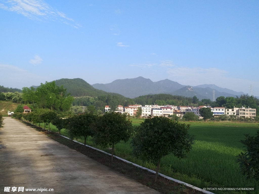 田园风光