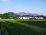 田园风光