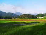 田园风光