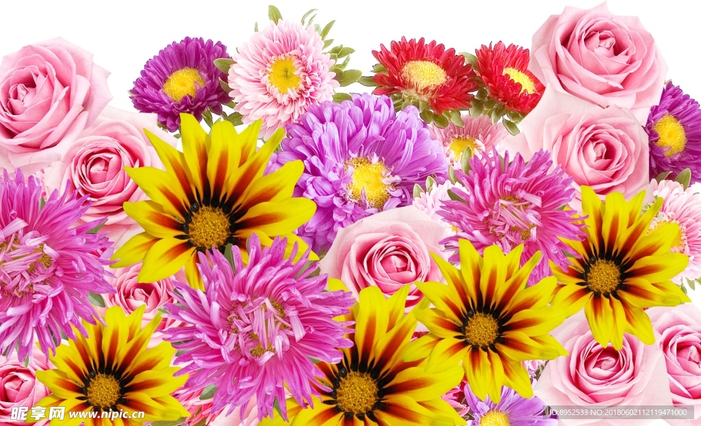 鲜花