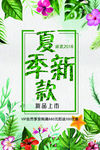 夏季新款海报