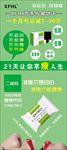 XFHL营养代餐饼干绿色展架