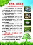 环保传单 绿树