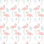 火烈鸟花纹