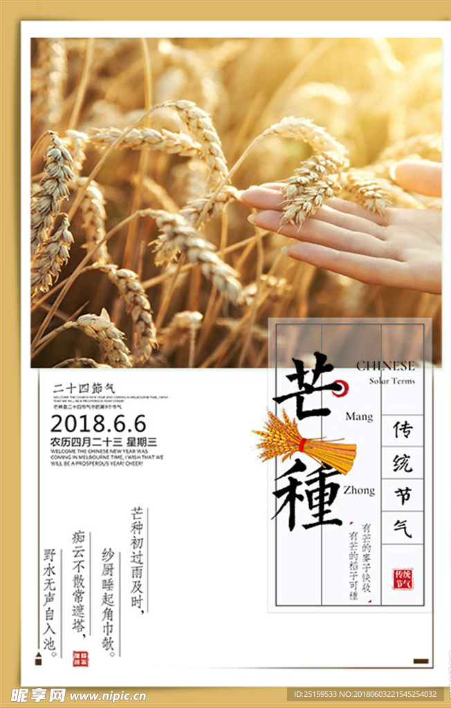 芒种海报