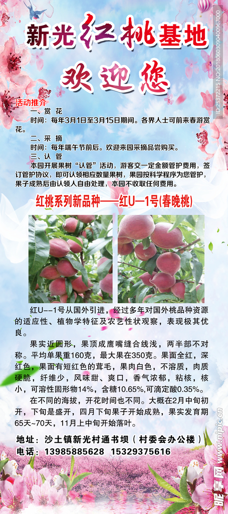 桃园展架