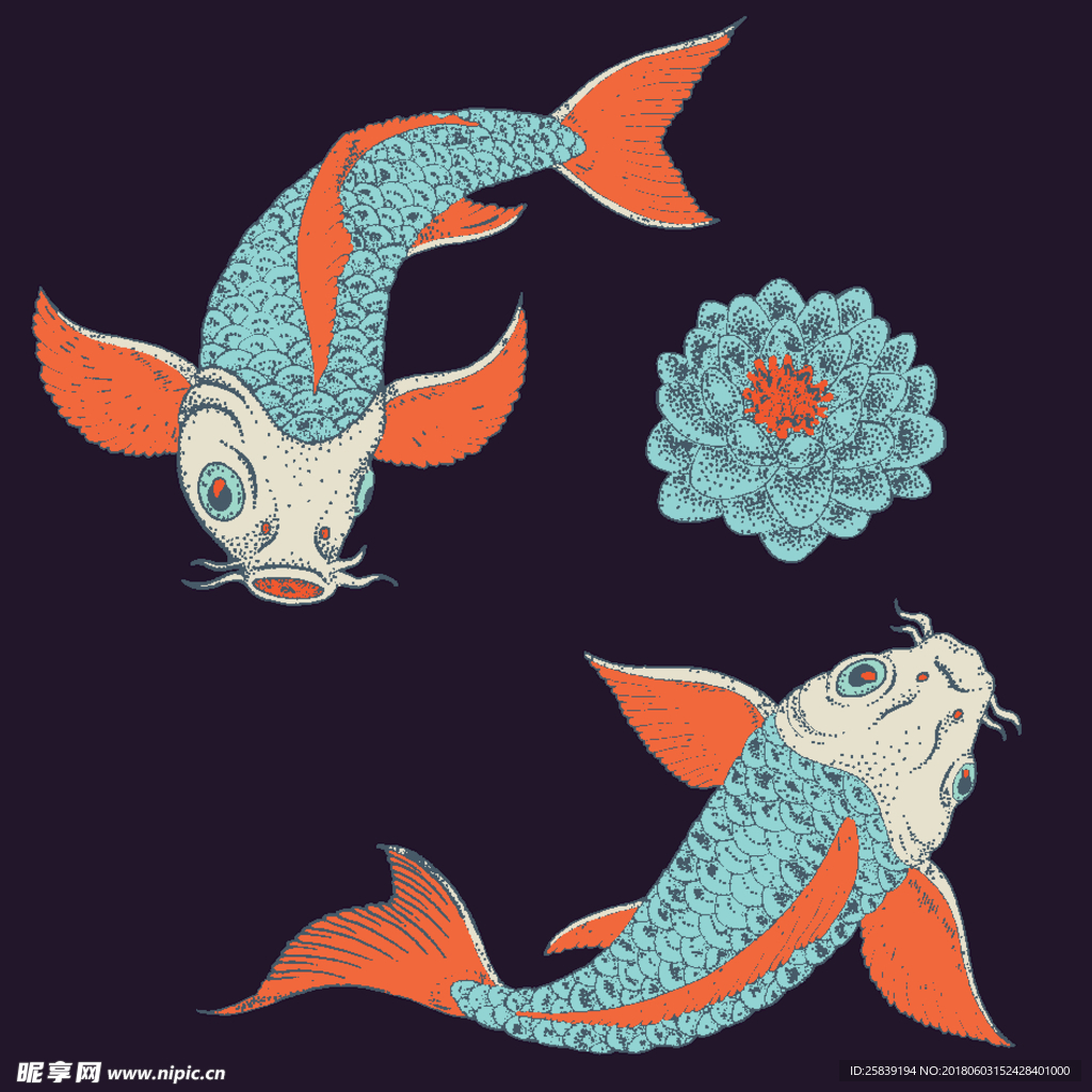 鲤鱼