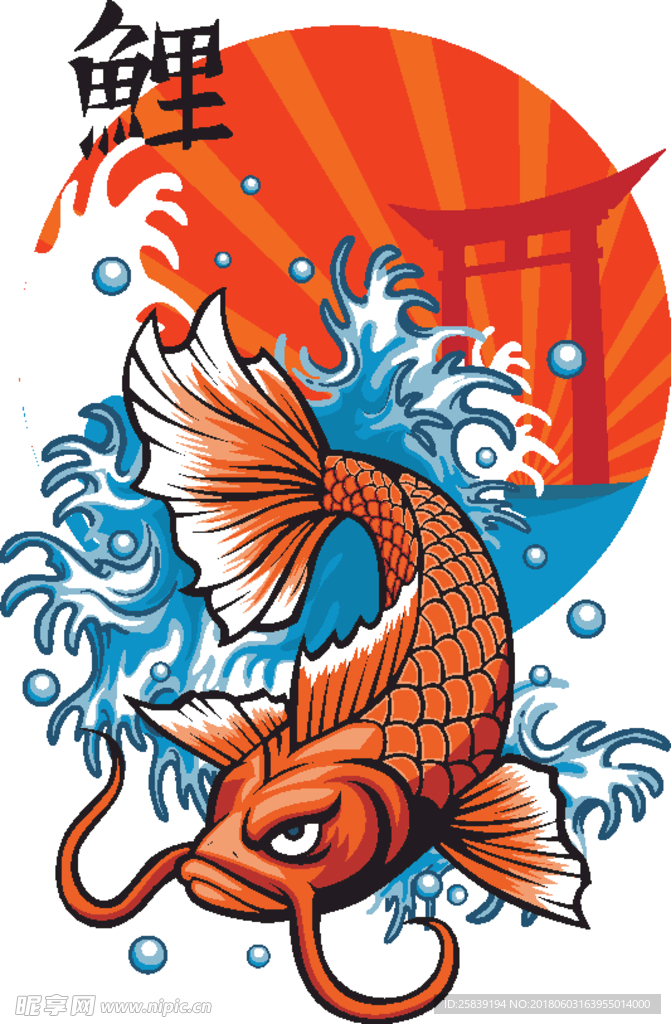 鲤鱼