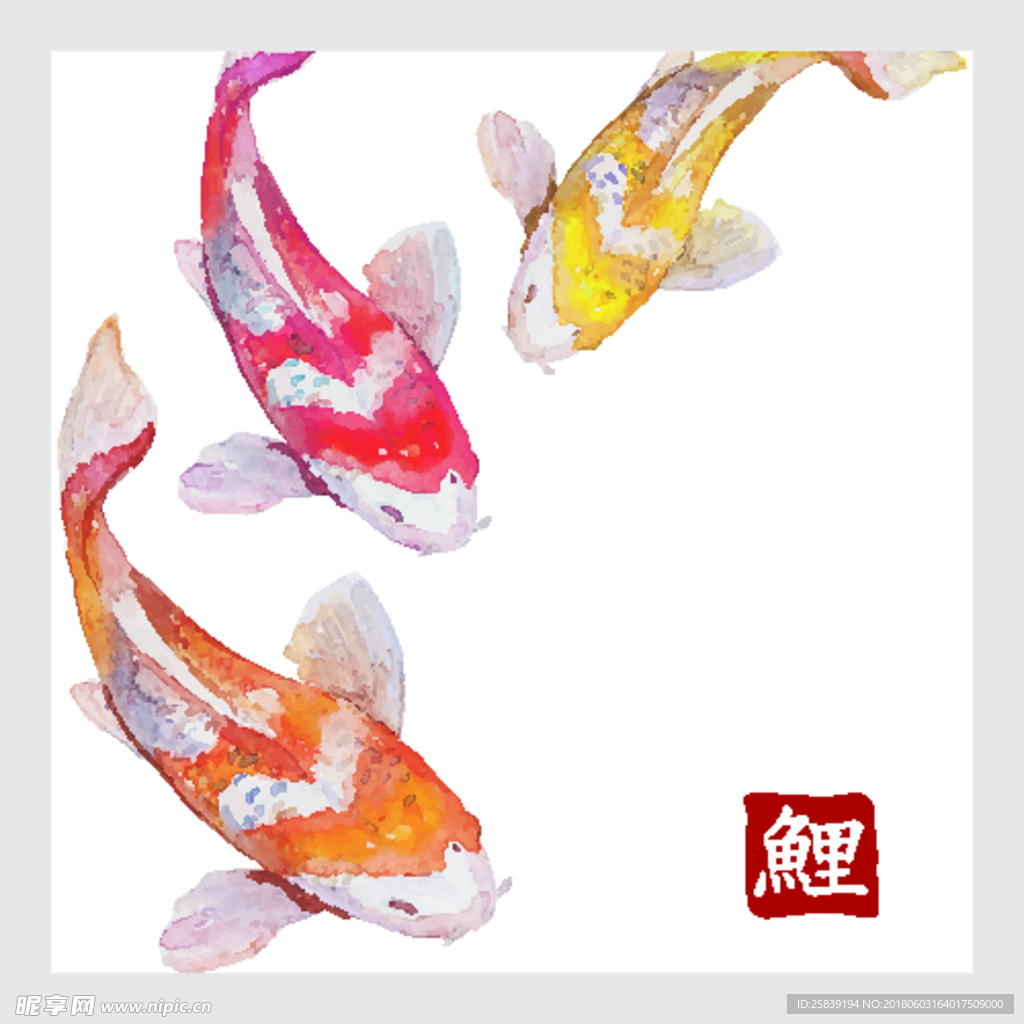鲤鱼