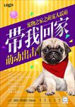 带我回家救助流浪动物图片海报