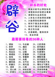 减肥 瘦身 整形 减肥广告