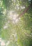 午后阳光