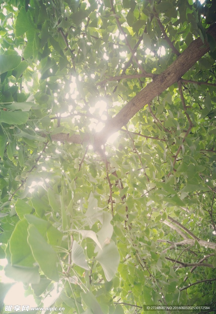 午后阳光