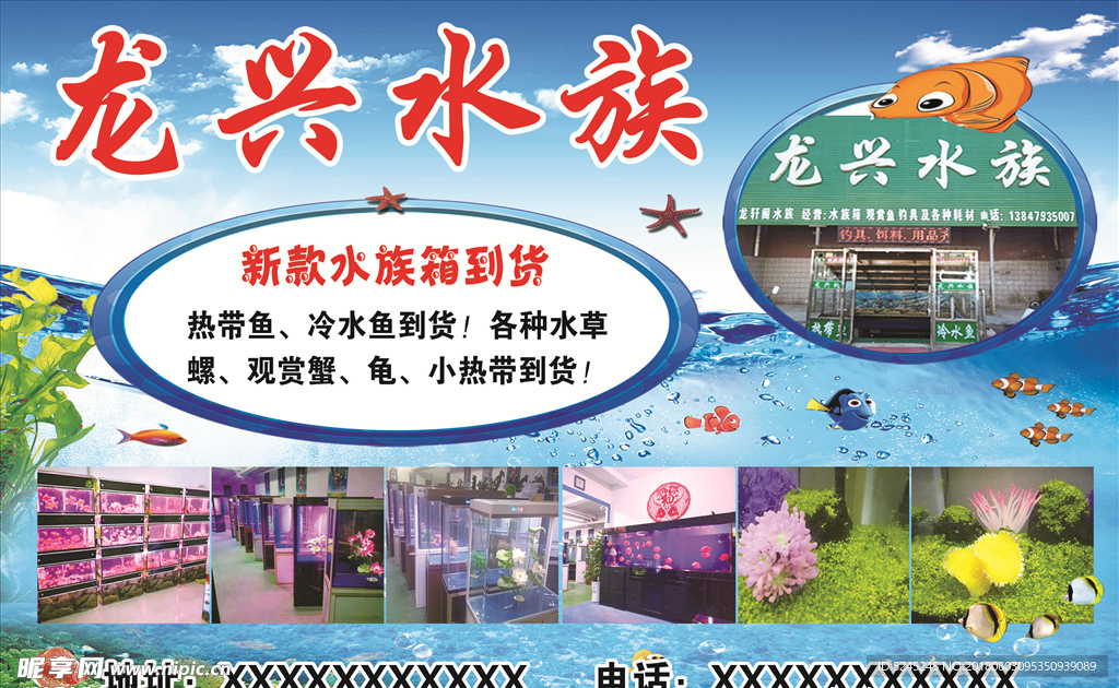 水族店
