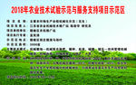 农业技术示范花生