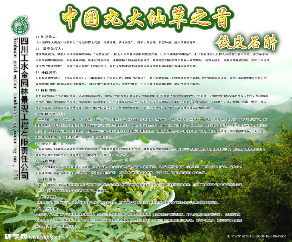 石斛介绍