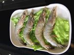海明虾