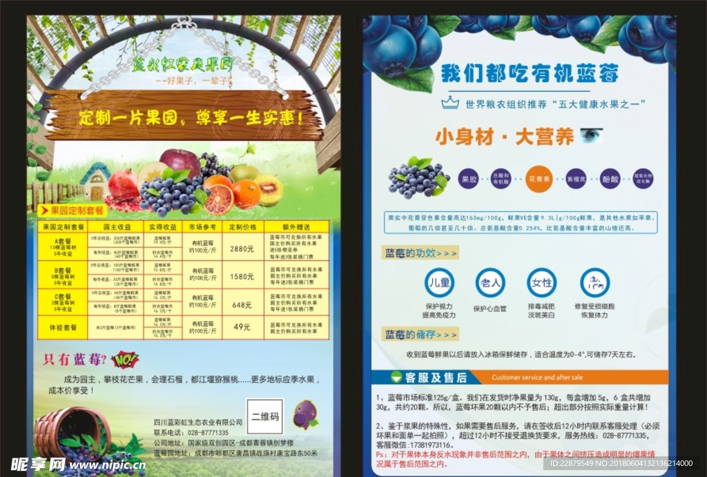 蓝莓DM单