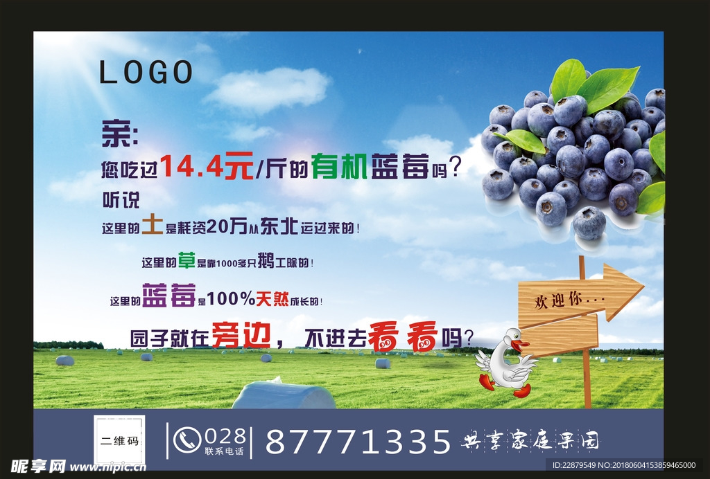 蓝莓喷绘