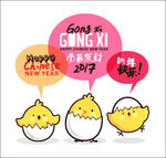 鸡年小鸡