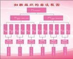 妇联组织架构流程图