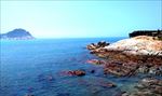海