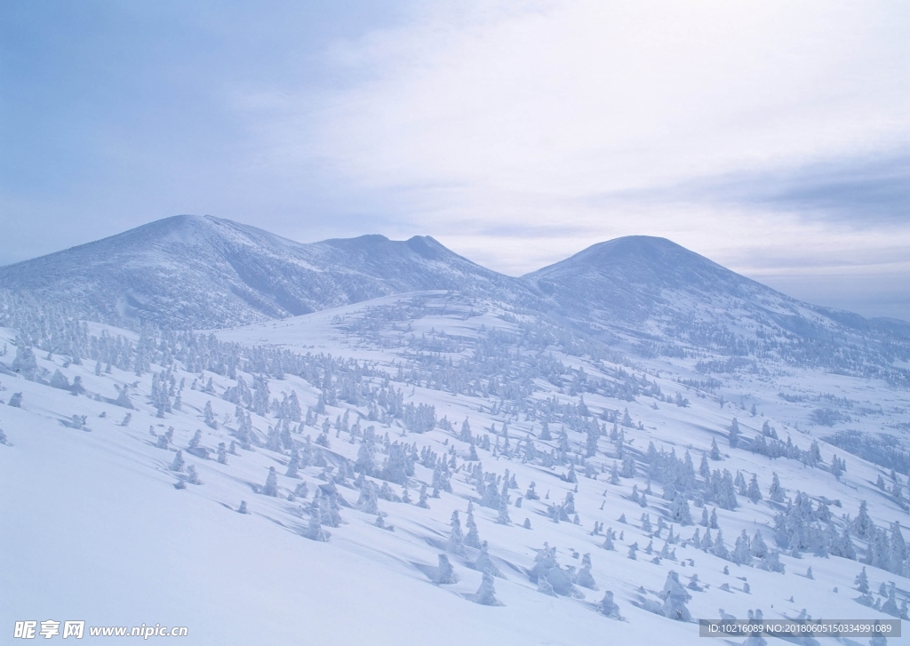 冬天 雪景