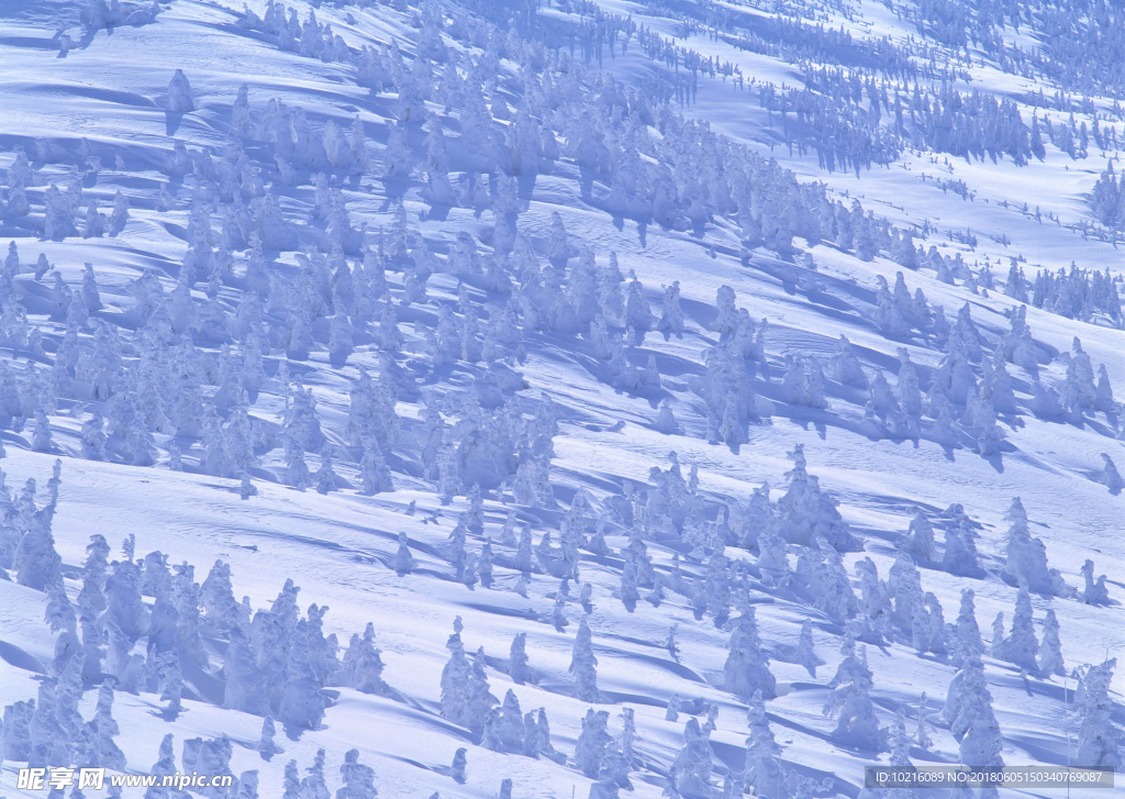 冬天 雪景