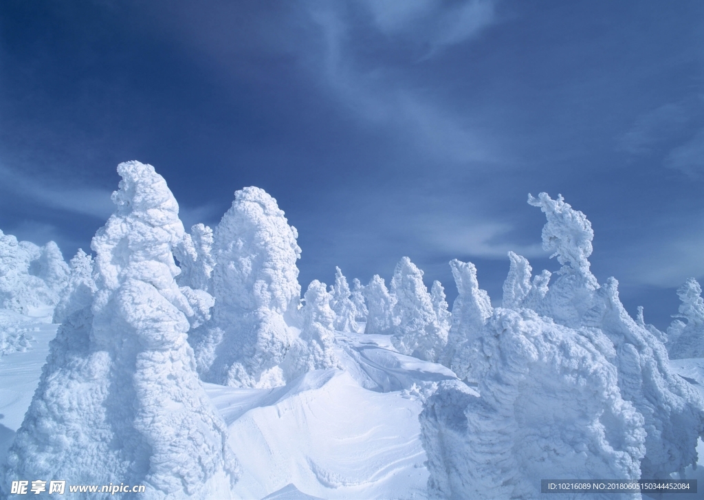 冬天 雪景