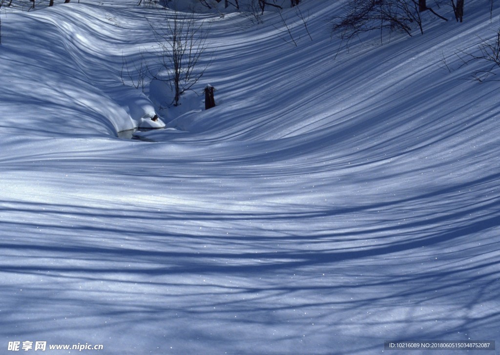 冬天 雪景
