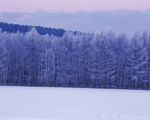 冬天雪景