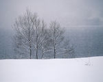 冬天雪景