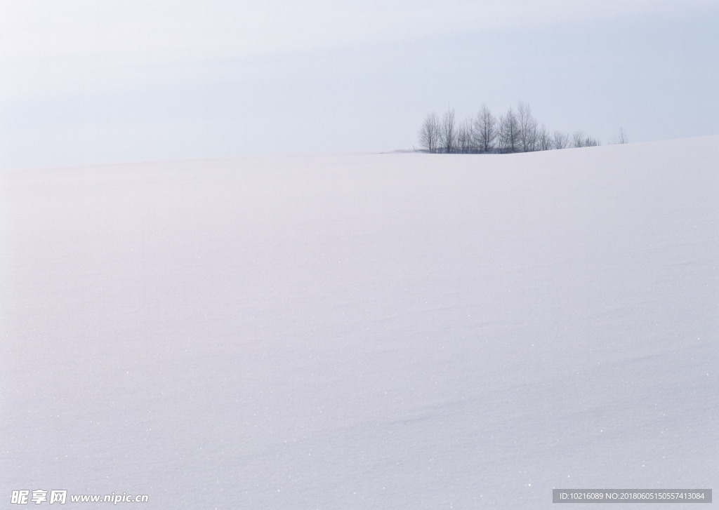 冬天雪景