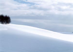 冬天雪景