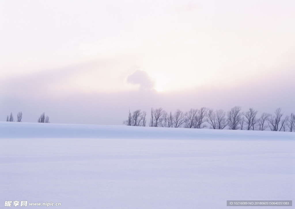 冬天雪景