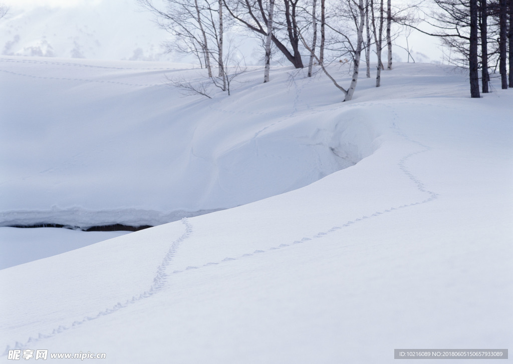 冬天雪景