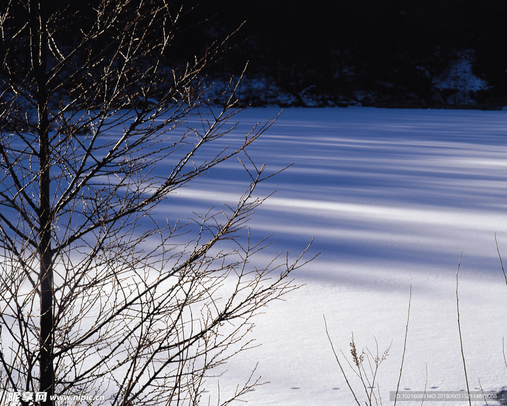 冬天雪景