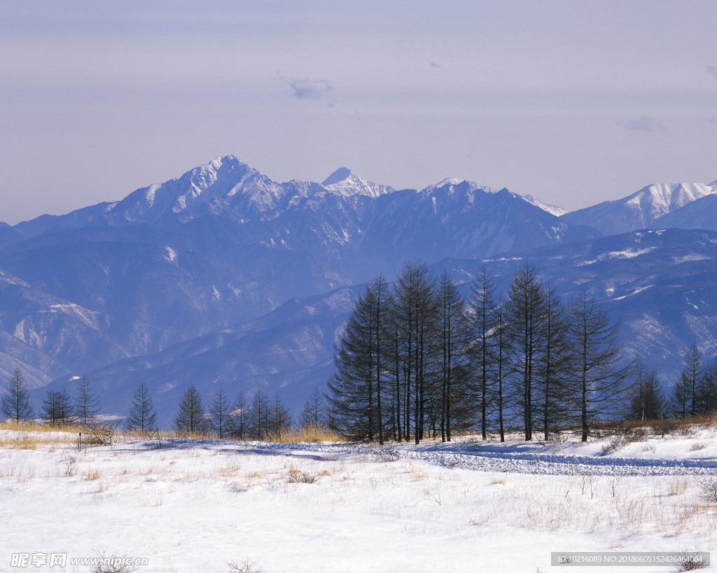 冬天雪景