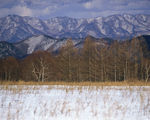 冬天雪景