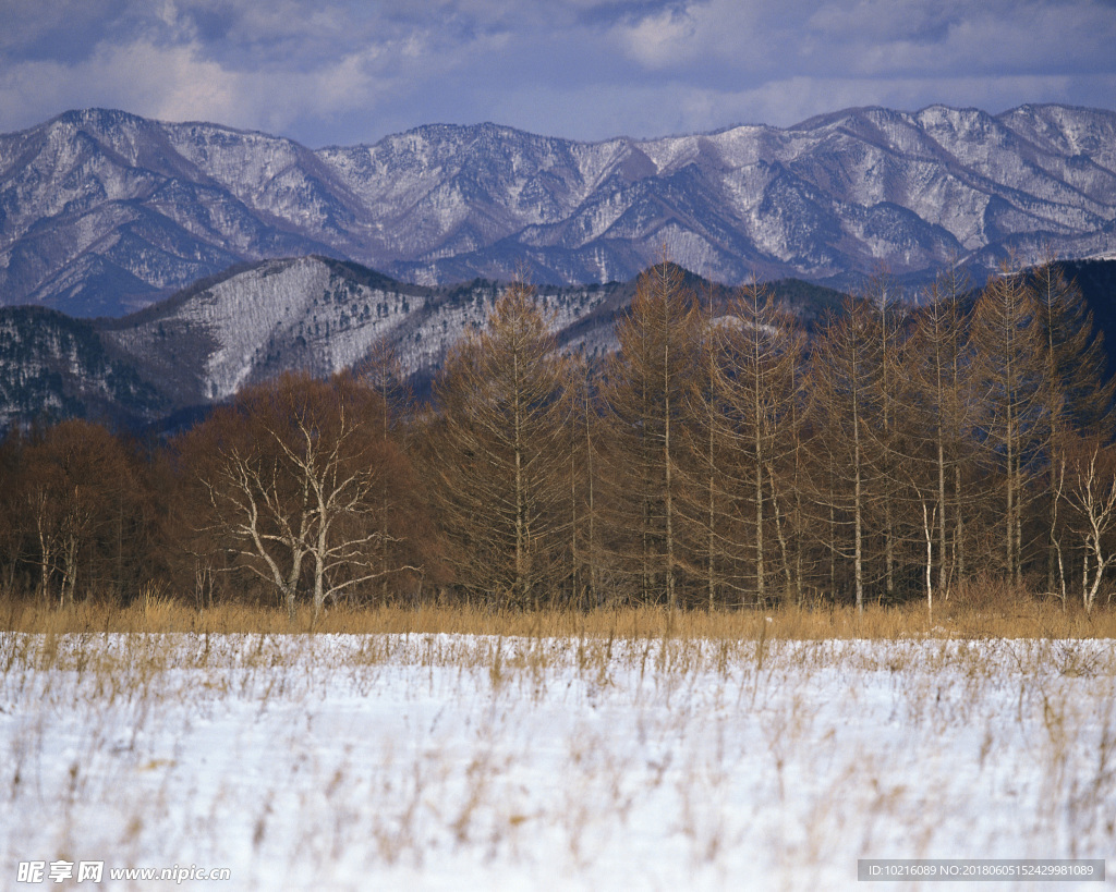 冬天雪景