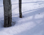 冬天雪景