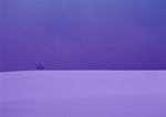冬天雪景