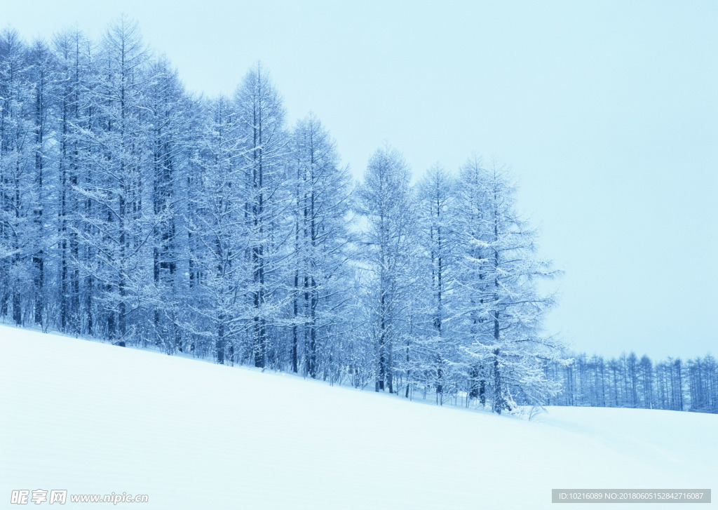 冬天雪景