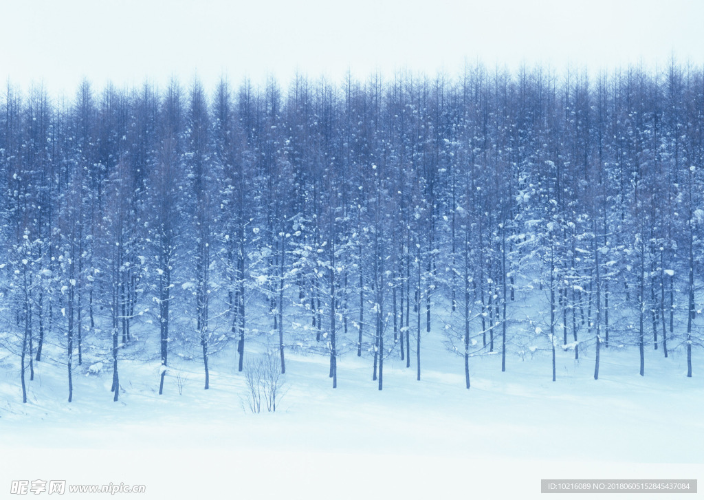 冬天雪景