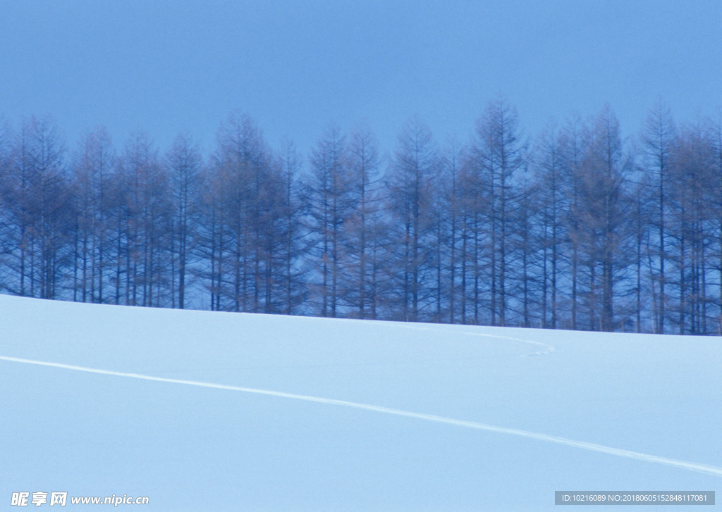 冬天雪景