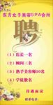 美容  展架 招聘 海报