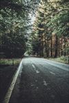森林公路