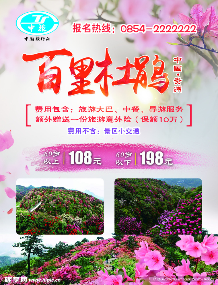 百里杜鹃