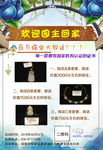 送珠宝活动海报